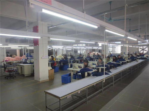 兩會(huì)代表談紡織服裝現(xiàn)狀及發(fā)展建議